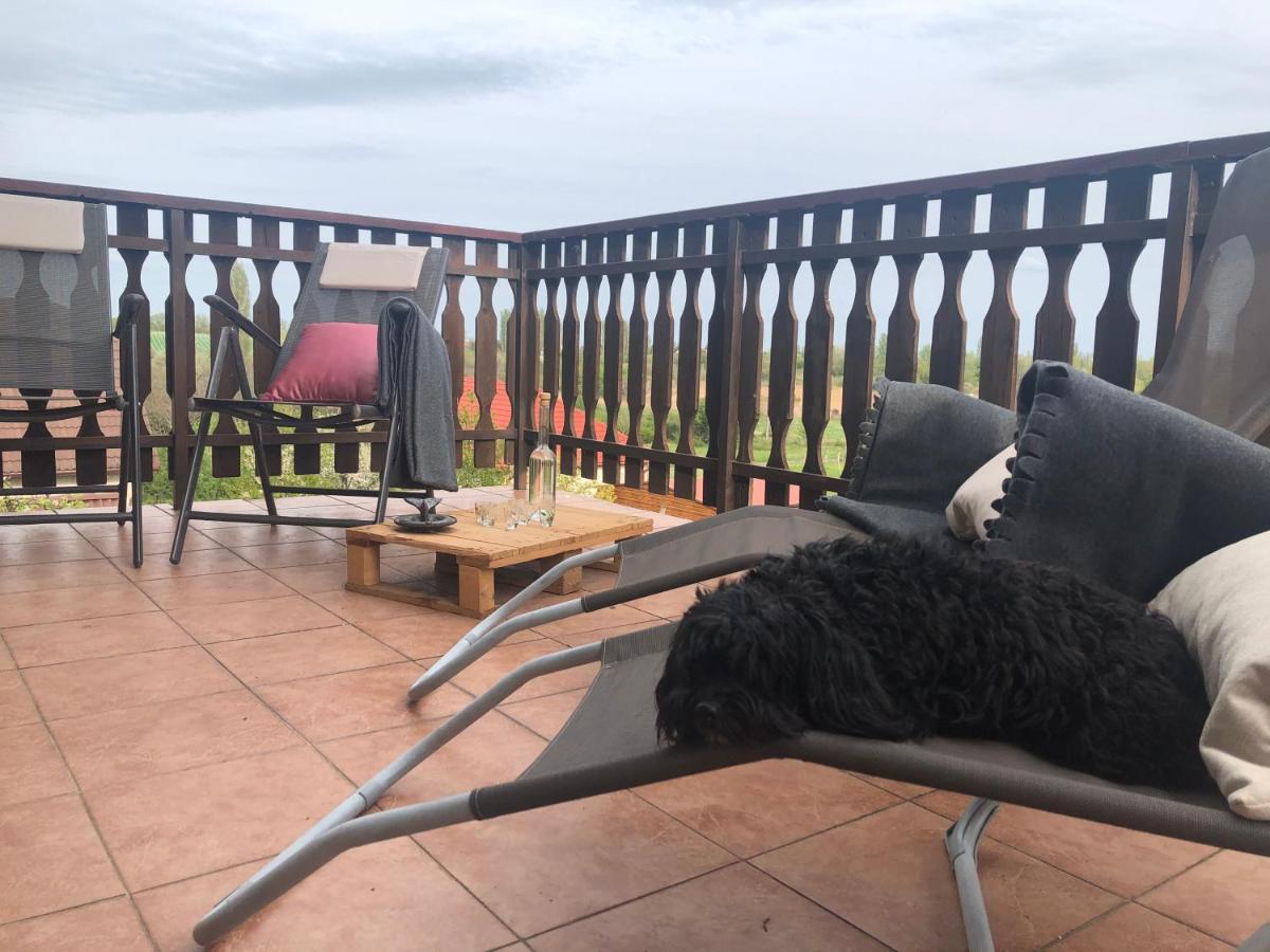Balaton Apartman Paloznak Exterior foto